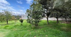 Terreno para Ganadería o Agricultura