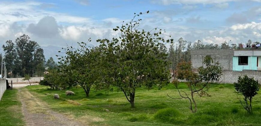 Terreno para Ganadería o Agricultura