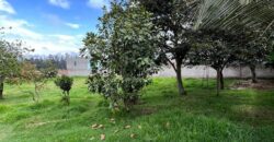Terreno para Ganadería o Agricultura