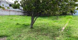 Terreno para Ganadería o Agricultura