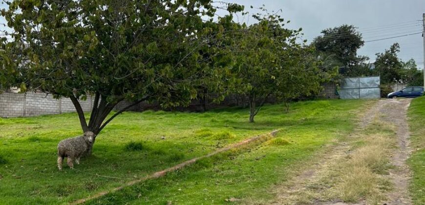 Terreno para Ganadería o Agricultura