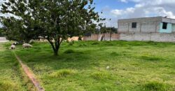 Terreno para Ganadería o Agricultura