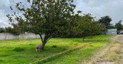 Terreno para Ganadería o Agricultura
