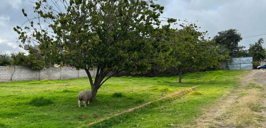 Terreno para Ganadería o Agricultura