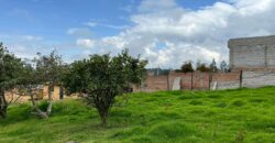 Terreno para Ganadería o Agricultura
