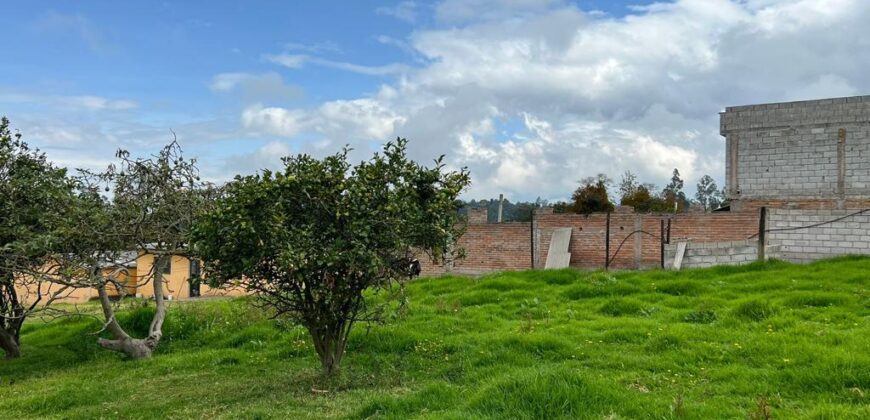 Terreno para Ganadería o Agricultura