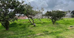Terreno para Ganadería o Agricultura
