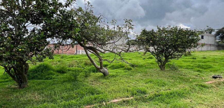 Terreno para Ganadería o Agricultura
