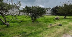 Terreno para Ganadería o Agricultura