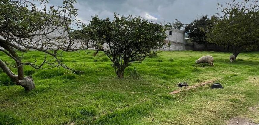 Terreno para Ganadería o Agricultura