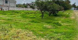 Terreno para Ganadería o Agricultura