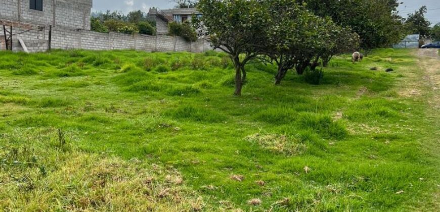 Terreno para Ganadería o Agricultura