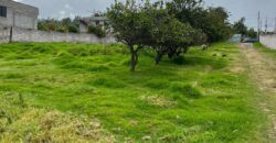 Terreno para Ganadería o Agricultura