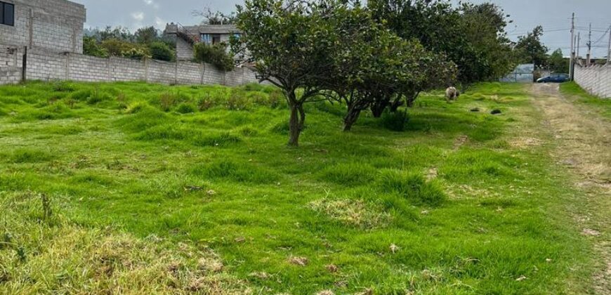Terreno para Ganadería o Agricultura