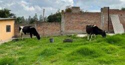 Terreno para Ganadería o Agricultura