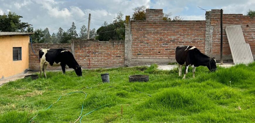 Terreno para Ganadería o Agricultura